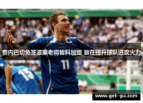 费内巴切免签波黑老将哲科加盟 旨在提升球队进攻火力